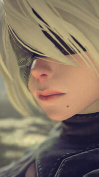 2b from nier automata