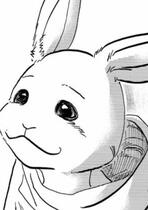 haru from beastars
